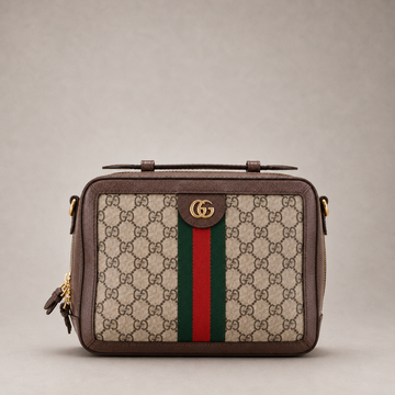 Ophidia Zip Around Camera Bag GG Coated Canvas Small (Brown)